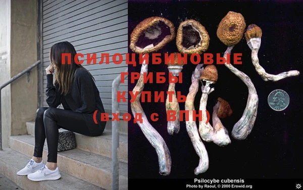 бошки Алексеевка